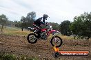 Champions Ride Days MotoX Broadford 08 12 2013 - 7CR_2747