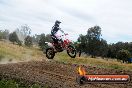 Champions Ride Days MotoX Broadford 08 12 2013 - 7CR_2752