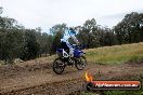 Champions Ride Days MotoX Broadford 08 12 2013 - 7CR_2766