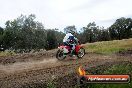 Champions Ride Days MotoX Broadford 08 12 2013 - 7CR_2775