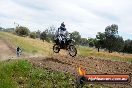 Champions Ride Days MotoX Broadford 08 12 2013 - 7CR_2784