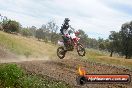 Champions Ride Days MotoX Broadford 08 12 2013 - 7CR_2793