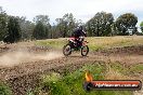 Champions Ride Days MotoX Broadford 08 12 2013 - 7CR_2872