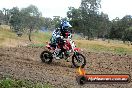 Champions Ride Days MotoX Broadford 08 12 2013 - 7CR_3009