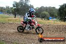 Champions Ride Days MotoX Broadford 08 12 2013 - 7CR_3010