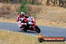 Champions Ride Day Broadford 1 of 2 parts 25 01 2014 - 9CR_5965