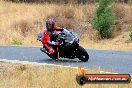Champions Ride Day Broadford 1 of 2 parts 25 01 2014 - 9CR_6298