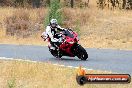 Champions Ride Day Broadford 1 of 2 parts 25 01 2014 - 9CR_7038