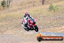 Champions Ride Day Broadford 1 of 2 parts 25 01 2014 - 9CR_7779