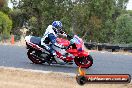 Champions Ride Day Broadford 1 of 2 parts 25 01 2014 - 9CR_7890