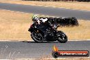 Champions Ride Day Broadford 1 of 2 parts 25 01 2014 - 9CR_8116