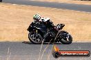 Champions Ride Day Broadford 1 of 2 parts 25 01 2014 - 9CR_8117
