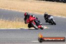 Champions Ride Day Broadford 1 of 2 parts 25 01 2014 - 9CR_8967