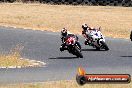 Champions Ride Day Broadford 1 of 2 parts 25 01 2014 - 9CR_9065