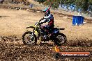 Champions Ride Day MotorX Broadford 27 01 2014 - CR0_8553