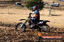 Champions Ride Day MotorX Broadford 27 01 2014 - CR0_8555