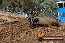 Champions Ride Day MotorX Broadford 27 01 2014 - CR0_8557