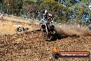 Champions Ride Day MotorX Broadford 27 01 2014 - CR0_8558