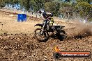 Champions Ride Day MotorX Broadford 27 01 2014 - CR0_8560