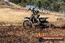 Champions Ride Day MotorX Broadford 27 01 2014 - CR0_8561