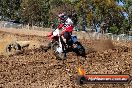 Champions Ride Day MotorX Broadford 27 01 2014 - CR0_8660
