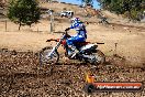 Champions Ride Day MotorX Broadford 27 01 2014 - CR0_8687