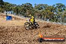 Champions Ride Day MotorX Broadford 27 01 2014 - CR0_8690