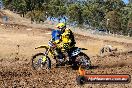 Champions Ride Day MotorX Broadford 27 01 2014 - CR0_8691