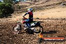Champions Ride Day MotorX Broadford 27 01 2014 - CR0_8782