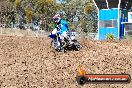Champions Ride Day MotorX Broadford 27 01 2014 - CR0_8795