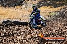 Champions Ride Day MotorX Broadford 27 01 2014 - CR0_8909