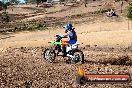 Champions Ride Day MotorX Broadford 27 01 2014 - CR0_8960