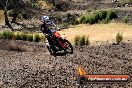 Champions Ride Day MotorX Broadford 27 01 2014 - CR1_0062