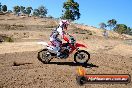 Champions Ride Day MotorX Broadford 27 01 2014 - CR1_0084