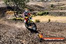 Champions Ride Day MotorX Broadford 27 01 2014 - CR1_0189