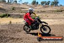 Champions Ride Day MotorX Broadford 27 01 2014 - CR1_0197