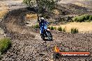 Champions Ride Day MotorX Broadford 27 01 2014 - CR1_0367