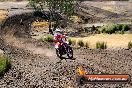 Champions Ride Day MotorX Broadford 27 01 2014 - CR1_0381