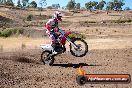 Champions Ride Day MotorX Broadford 27 01 2014 - CR1_0401