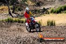 Champions Ride Day MotorX Broadford 27 01 2014 - CR1_0406