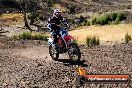 Champions Ride Day MotorX Broadford 27 01 2014 - CR1_0417