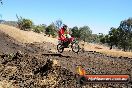 Champions Ride Day MotorX Broadford 27 01 2014 - CR1_1176