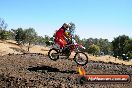 Champions Ride Day MotorX Broadford 27 01 2014 - CR1_1178