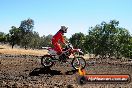 Champions Ride Day MotorX Broadford 27 01 2014 - CR1_1179