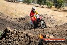 Champions Ride Day MotorX Broadford 27 01 2014 - CR1_1340