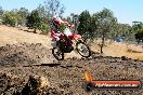 Champions Ride Day MotorX Broadford 27 01 2014 - CR1_1350