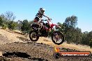 Champions Ride Day MotorX Broadford 27 01 2014 - CR1_1387
