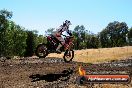 Champions Ride Day MotorX Broadford 27 01 2014 - CR1_1390