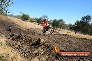 Champions Ride Day MotorX Broadford 27 01 2014 - CR1_1439