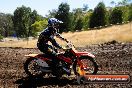 Champions Ride Day MotorX Broadford 27 01 2014 - CR1_1687
